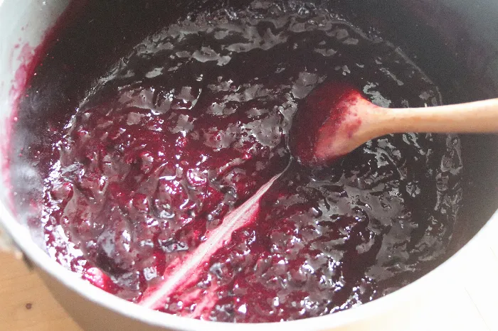Sugar Free Blueberry Jam Recipe