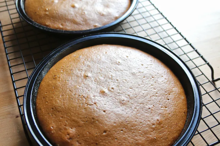 Sugar Free Cappuccino Coffee Cake Recipe