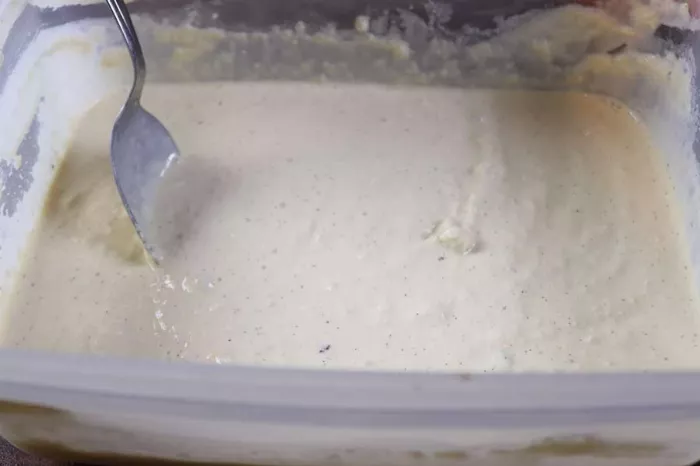 Sugar Free Vanilla Ice Cream Recipe